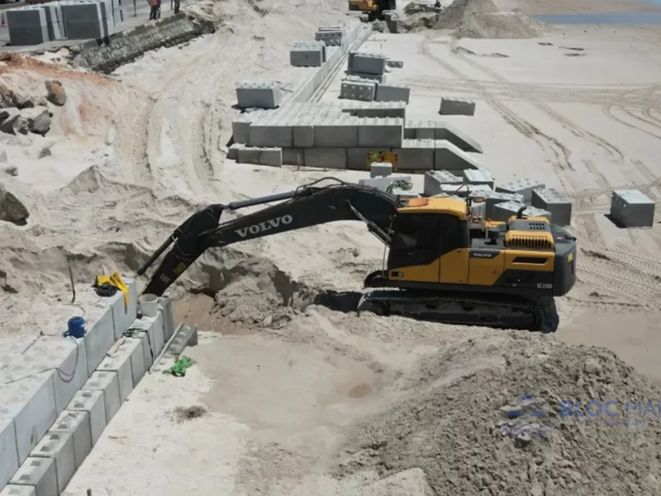 Reprodução (Foto: Reprodução)